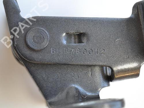 Hinge/Door check strap LAND ROVER DISCOVERY IV (L319) 3.0 TD 4x4 | BP14811179C146 