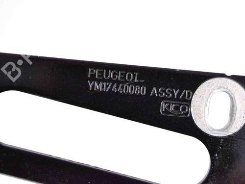 Hinge/Door check strap PEUGEOT RCZ 1.6 16V | BP14792432C146