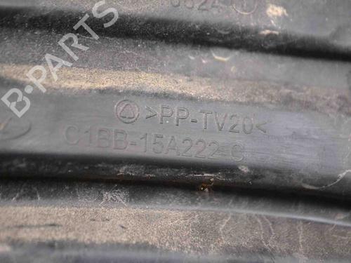 Grill FORD FIESTA VI (CB1, CCN) 1.0 EcoBoost | BP14783635C40 
