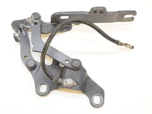 Hinge/Door check strap BMW 3 (E90) 320 d | BP14815163C146 
