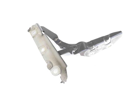 Hinge/Door check strap JAGUAR XF I (X250) 2.2 D | BP14768307C146 
