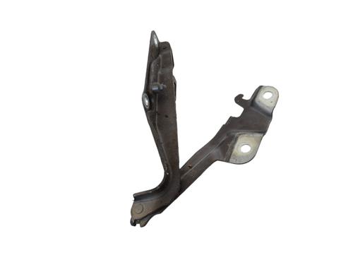 Hinge/Door check strap JAGUAR XF I (X250) 3.0 D | BP19509741C146 