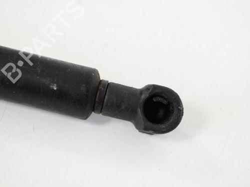 Hood lift support BMW 3 (E90) 318 i | BP14817381C139