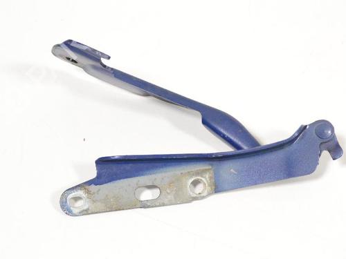 Hinge/Door check strap JAGUAR S-TYPE II (X200) 2.7 D | BP14816508C146 