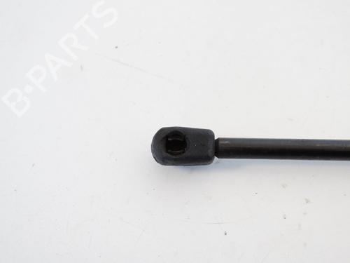 Tailgate lift support LAND ROVER RANGE ROVER SPORT I (L320) 2.7 D 4x4 | BP14768664C138 