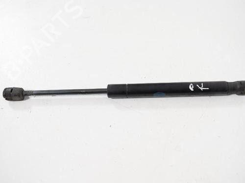 Used Hood lift support LAND ROVER FREELANDER 2 (L359) 2.2 TD4 4x4 (160 hp) 14815923