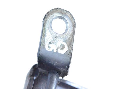 Hinge/Door check strap TOYOTA PRIUS (_W3_) 1.8 Hybrid (ZVW3_) | BP14808731C146 