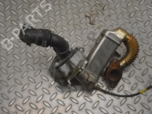 Egr NISSAN X-TRAIL III (T32_, T32R, T32RR) 1.6 dCi (T32) | BP16197192M69 