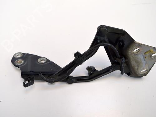 Hinge/Door check strap VW TOUAREG (7LA, 7L6, 7L7) 2.5 R5 TDI | BP19942154C146 