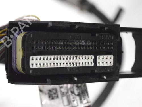 Wiring harness BMW 3 (F30, F80) 320 d | BP14800568E16 
