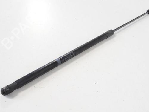 Used Hood lift support MERCEDES-BENZ C-CLASS (W204) C 250 CDI (204.003) (204 hp) 14766533