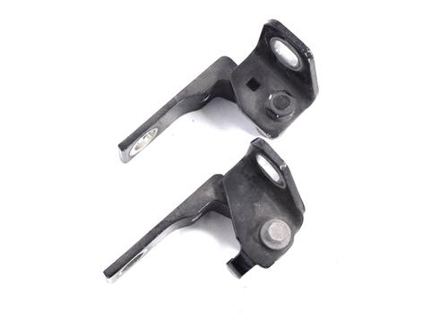 Hinge/Door check strap FORD FOCUS III 1.0 EcoBoost | BP14790910C146 