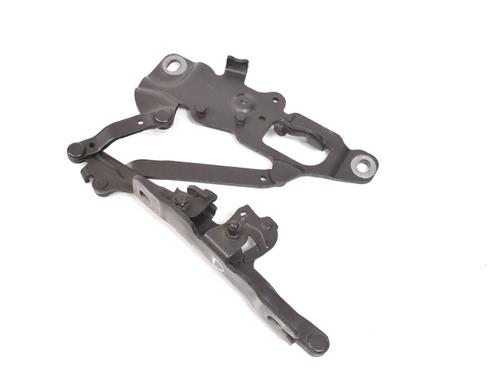 Used Hinge/Door check strap BMW 7 (F01, F02, F03, F04) 730 d (258 hp) 14776195