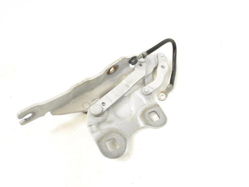 Hinge/Door check strap MINI MINI COUNTRYMAN (R60) Cooper D ALL4 | BP14776406C146 