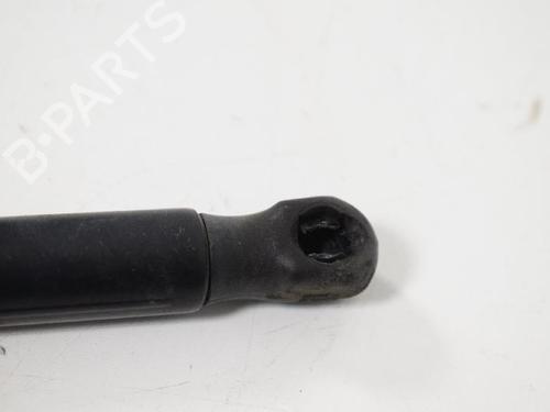 Hood lift support LAND ROVER FREELANDER 2 (L359) 2.2 TD4 4x4 | BP14815923C139 