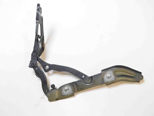 Hinge/Door check strap BMW 3 (E90) 320 d | BP14813760C146 