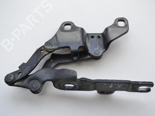 Hinge/Door check strap BMW 3 Touring (E91) 320 d | BP14812228C146 