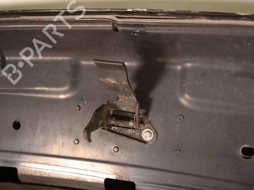 Hood LAND ROVER RANGE ROVER SPORT I (L320) 2.7 D 4x4 | BP29730244C1