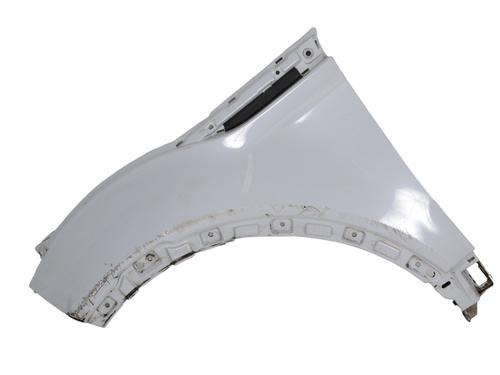Used Left front fenders LAND ROVER RANGE ROVER EVOQUE (L538) 2.0 D 4x4 (180 hp) 16878984