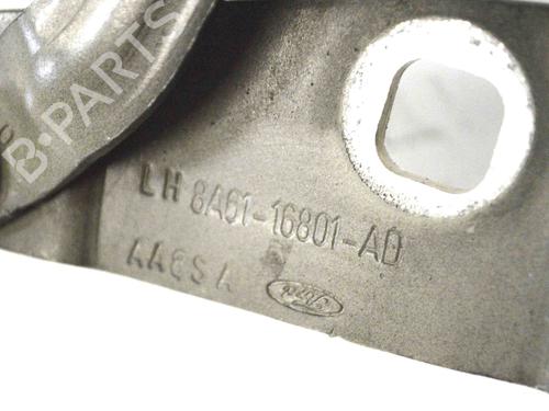 Hinge/Door check strap FORD FIESTA VI (CB1, CCN) 1.0 EcoBoost | BP14790530C146 