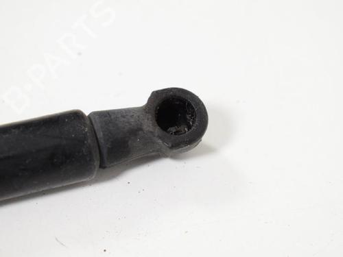 Hood lift support LAND ROVER RANGE ROVER SPORT I (L320) 3.0 D 4x4 | BP14817046C139 