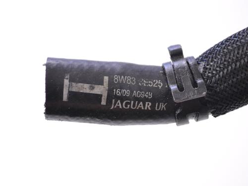 Pipe JAGUAR XK II Coupe (X150) 5.0 V8 | BP14772774M125 