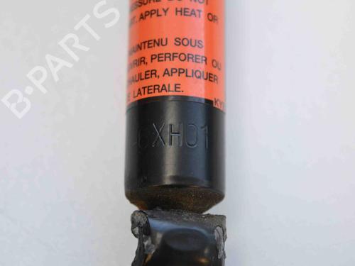 Tailgate lift support SUBARU OUTBACK (BR) 2.0 D AWD (BRD) | BP14811422C138