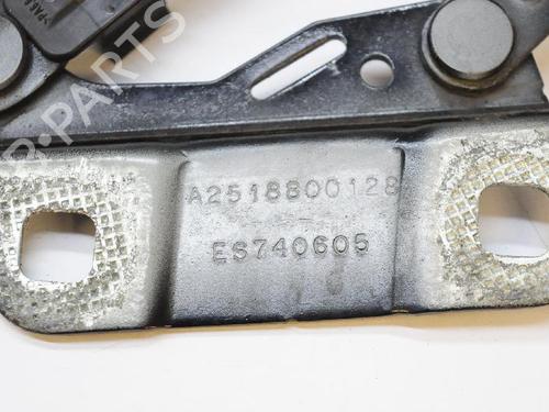Hinge/Door check strap MERCEDES-BENZ GL-CLASS (X164) GL 420 CDI 4-matic (164.828) | BP14814244C146 