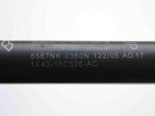 Hood lift support JAGUAR X-TYPE I (X400) 2.0 D | BP19941868C139