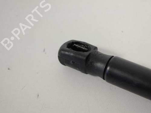 Hood lift support BMW X5 (F15, F85) xDrive 40 d | BP14815716C139 