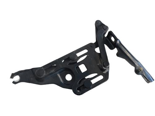 Used Hinge/Door check strap BMW X6 (E71, E72) xDrive 40 d (306 hp) 16262146