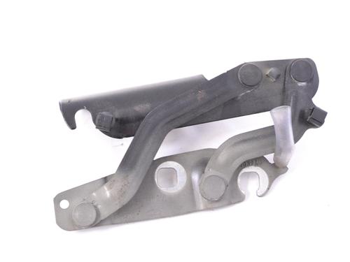 Hinge/Door check strap FORD FIESTA VI (CB1, CCN) 1.0 EcoBoost | BP14778289C146 