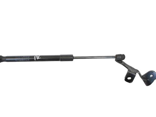 Used Hood lift support TESLA MODEL 3 (5YJ3) EV AWD (351 hp) 27828888
