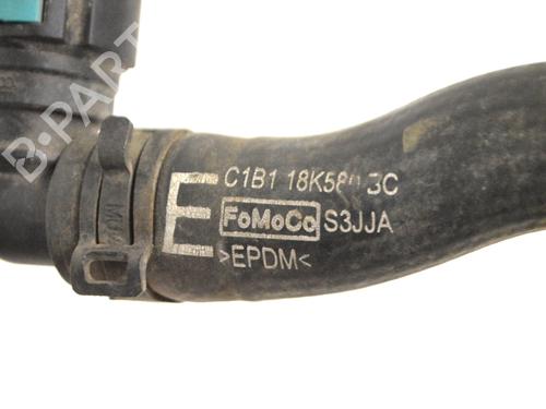 Pipe FORD FIESTA VI (CB1, CCN) 1.0 EcoBoost | BP14783654M125 