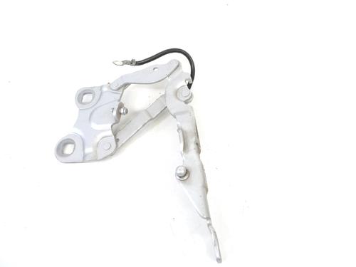 Hinge/Door check strap MINI MINI COUNTRYMAN (R60) Cooper D ALL4 | BP14769710C146 
