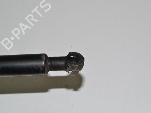 Hood lift support BMW 3 Coupe (E92) 335 d | BP14813517C139 