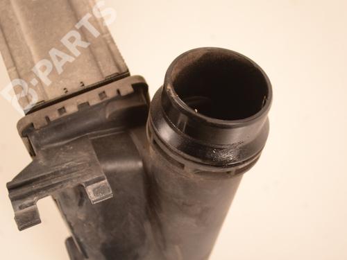Intercooler NISSAN X-TRAIL III (T32_, T32R, T32RR) 1.6 DIG-T (T32) | BP10675325M30 