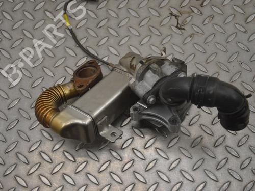 Egr NISSAN X-TRAIL III (T32_, T32R, T32RR) 1.6 dCi (T32) | BP16197192M69 
