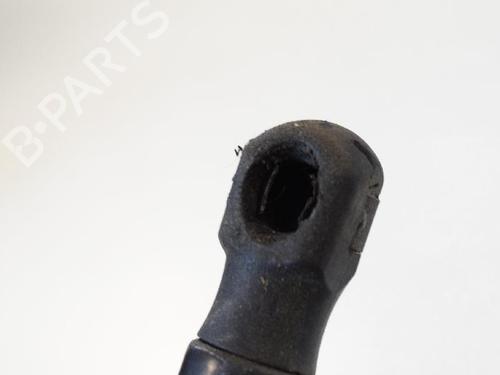 Hood lift support BMW 7 (F01, F02, F03, F04) 730 d | BP14765982C139 