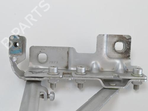 Hinge/Door check strap OPEL INSIGNIA A Saloon (G09) 2.0 CDTI (69) | BP14808863C146