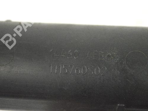 Pipe NISSAN X-TRAIL III (T32_, T32R, T32RR) 1.6 dCi (T32) | BP8860395M125