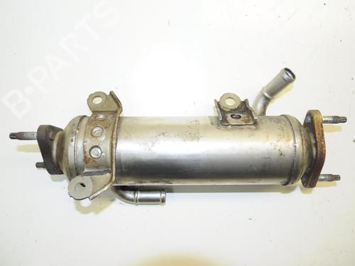 Egr CHEVROLET CAPTIVA (C100, C140) 2.0 D | BP19941389M69 