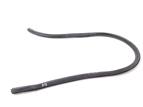 Used Rubber door seal VW CC B7 (358) 2.0 TDI (170 hp) 14773196