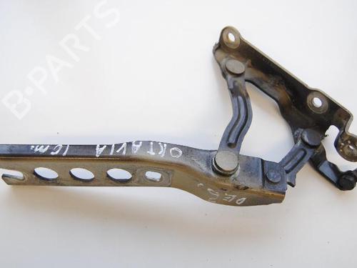 Hinge/Door check strap SKODA OCTAVIA II (1Z3) 1.8 TSI | BP14802450C146 