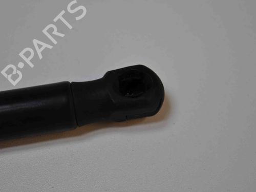 Used Tailgate lift support SKODA RAPID (NH3, NK3, NK6) 1.6 TDI (105 hp) 14813868