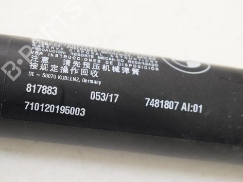 Tailgate lift support BMW X1 (F48) xDrive 20 d | BP14766922C138 