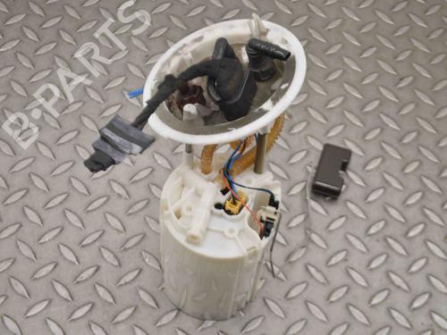Fuel pump AUDI A5 Sportback (8TA) 3.0 TDI quattro | BP10675305M76 