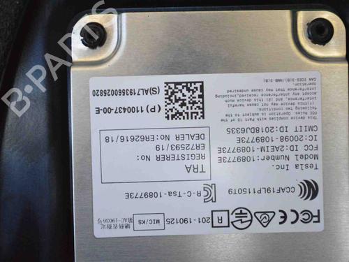 Door moulding trim TESLA MODEL 3 (5YJ3) EV Performance AWD | BP30130415C150 