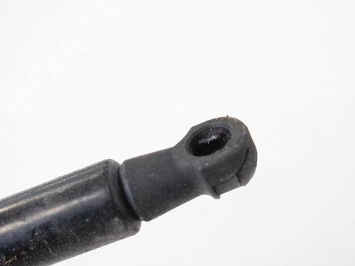 Hood lift support LAND ROVER RANGE ROVER SPORT I (L320) 3.6 D 4x4 | BP14818291C139 