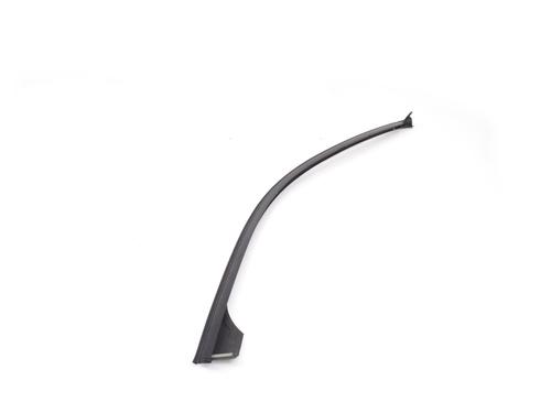 Door moulding trim JAGUAR XJ (X350, X358) D 2.7 | BP14782796C150 